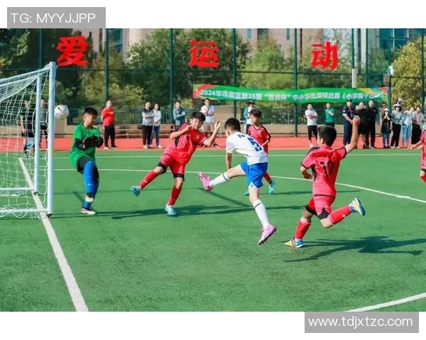 闪耀绿茵场的足球巨星们 他们用激情与实力书写传奇故事